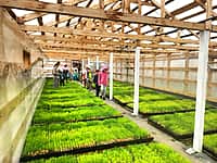 Экскурсия в Канашское лесничество (фото №1).