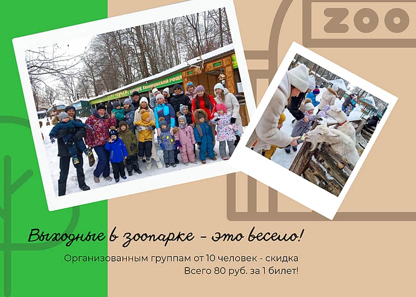 Посещать новочебоксарский зоопарк "Ельниковская роща" группой - дешевле.
