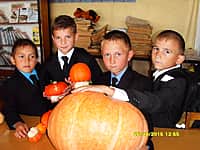 Ох, эта сказочная тыква! (фото №1).