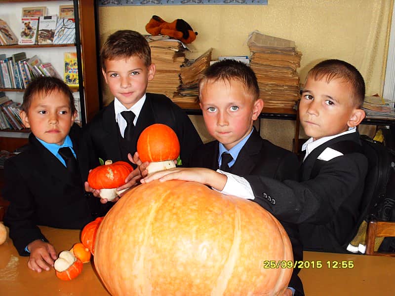 Ох, эта сказочная тыква!