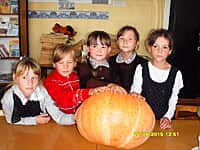 Ох, эта сказочная тыква! (фото №7).