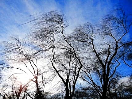 Гидрометцентр предупреждает: грозы, возможен град.