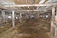 Глава администрации Канашского района побывал в гостях у молодых фермеров (фото №18).