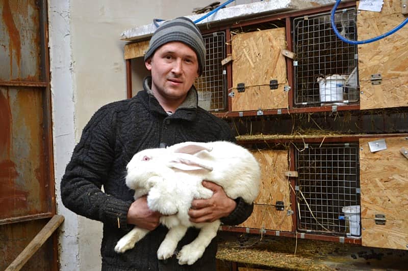 Глава администрации Канашского района побывал в гостях у молодых фермеров.