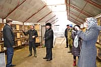 Глава администрации Канашского района побывал в гостях у молодых фермеров (фото №6).