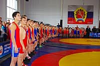 Глава администрации В.В.Софронов воодушевил спортсменов города Канаша на удачное выступление в открытом республиканском турнире по вольной борьбе среди юношей 2001-2002 гг.р. памяти Г.Н. Смирнова (фото №3).