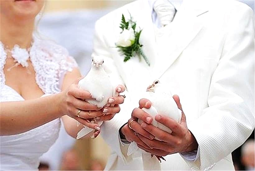 В городе Канаш зарегистрирована 250-я пара молодоженов.