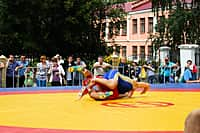 В городе Канаше для популяризация спортивной (вольной) борьбы используются различные виды соревновательной деятельности (фото №6).