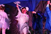 В городе Канаше торжественно отметили День учителя (фото №11).