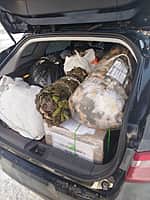 Новые Ачакасы. Собрана и отправлена новая партия гуманитарной помощи (фото №9).