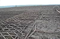 Ходом весенне-полевых работ в сельхозорганизациях с выездом на место ознакомился глава администрации Канашского района Степанов В.Н. (фото №9).