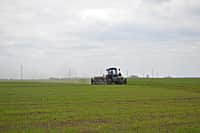 Ходом весенне-полевых работ в сельхозорганизациях с выездом на место ознакомился глава администрации Канашского района Степанов В.Н. (фото №16).