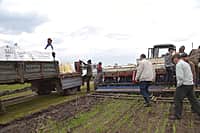 Ходом весенне-полевых работ в сельхозорганизациях с выездом на место ознакомился глава администрации Канашского района Степанов В.Н. (фото №17).