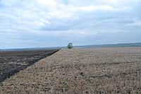 Ходом весенне-полевых работ в сельхозорганизациях с выездом на место ознакомился глава администрации Канашского района Степанов В.Н. (фото №4).