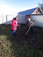 Идет осенняя пора посадки деревьев (фото №2).