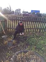 Идет осенняя пора посадки деревьев (фото №3).