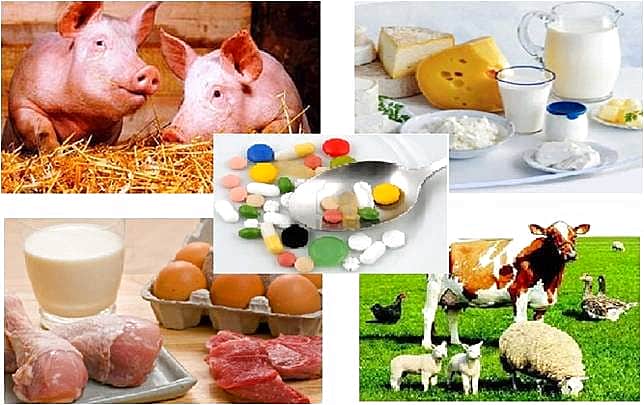 "Исключить антибиотики из меню"- под таким девизом пройдёт Всемирный день защиты прав потребителей в 2016 году.