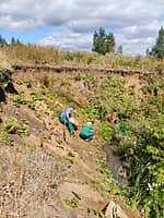 МУП "Каналсеть" МО г. Канаш обязали выплатить 1,6 млн рублей за порчу земли (фото №2).