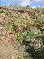 МУП "Каналсеть" МО г. Канаш обязали выплатить 1,6 млн рублей за порчу земли (фото №1).