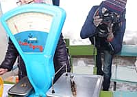 г. Канаш: Александр Петров - победитель Первого зимнего рыболовного фестиваля «Ловись рыбка - 2017» в номинации «Самый большой улов» (фото №2).