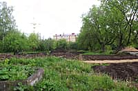 В Канаше начались работы по благоустройству пришкольных территорий школ №6 и №10 (фото №6).