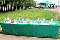 г. Канаш: ООО "Девелей" празднует свою первую юбилейную дату (фото №13).