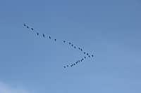 г. Канаш: «Наши жители против терроризма» (фото №17).