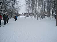 В г. Канаш определены победители и призеры чемпионата и первенства города по лыжным гонкам 2016 года, посвященных Году человека труда (фото №6).