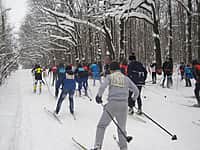 В г. Канаш определены победители и призеры чемпионата и первенства города по лыжным гонкам 2016 года, посвященных Году человека труда (фото №8).