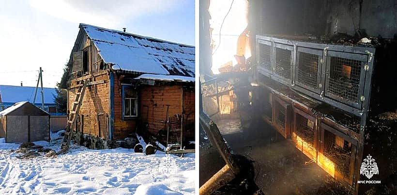 В Канаше при пожаре погибли 60 кроликов и 250 перепелок.