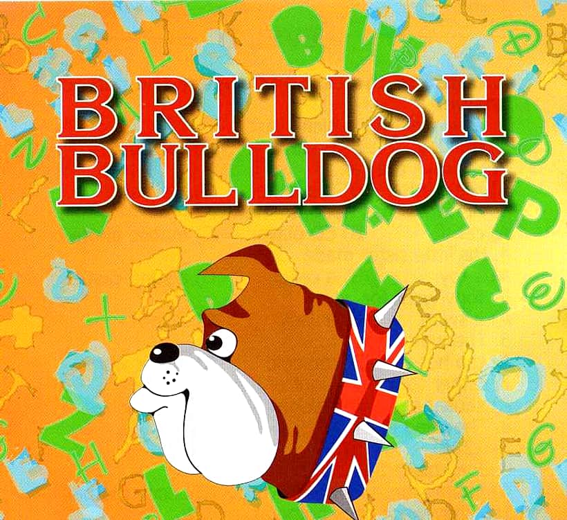 г. Канаш: в школах прошёл Всероссийский конкурс «Британский бульдог».