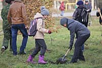 г. Канаш: Волонтеры штаба ЭКА провели акцию по посадке деревьев (фото №5).