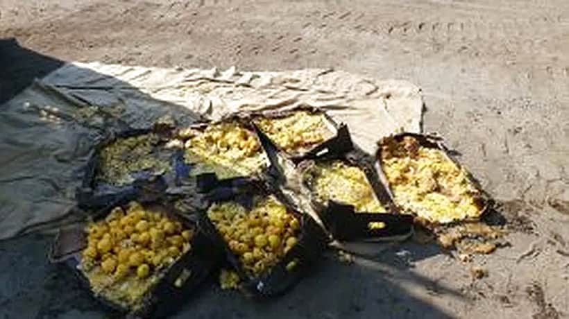 В Канаше уничтожены 280 кг свежих яблок, так как их сочли санкционными.