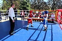 В Канаше проходит III открытый республиканский турнир по боксу (фото №1).