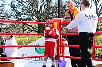 В Канаше проходит III открытый республиканский турнир по боксу (фото №3).