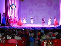 В Канаше прошел городской конкурс "Мисс Малышка-2016" (фото №2).