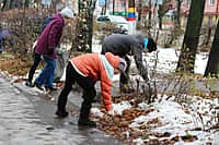 В Канаше прошел общегородской субботник (фото №1).