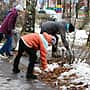 В Канаше прошел общегородской субботник.