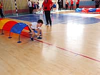 В Канаше прошла малая олимпиада «Олимпийцы в детском саду» (фото №13).