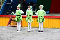 В Канаше прошло открытие летнего парка Городского Дворца культуры (фото №3).