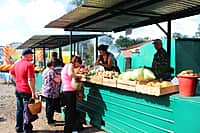 В Канаше прошло торжественное открытие ярмарки сельскохозяйственной продукции "Дары осени-2015" (фото №12).