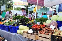 В Канаше прошло торжественное открытие ярмарки сельскохозяйственной продукции "Дары осени-2015" (фото №1).