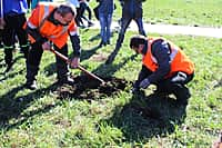 В Канаше разбит Сквер Железнодорожников (фото №2).