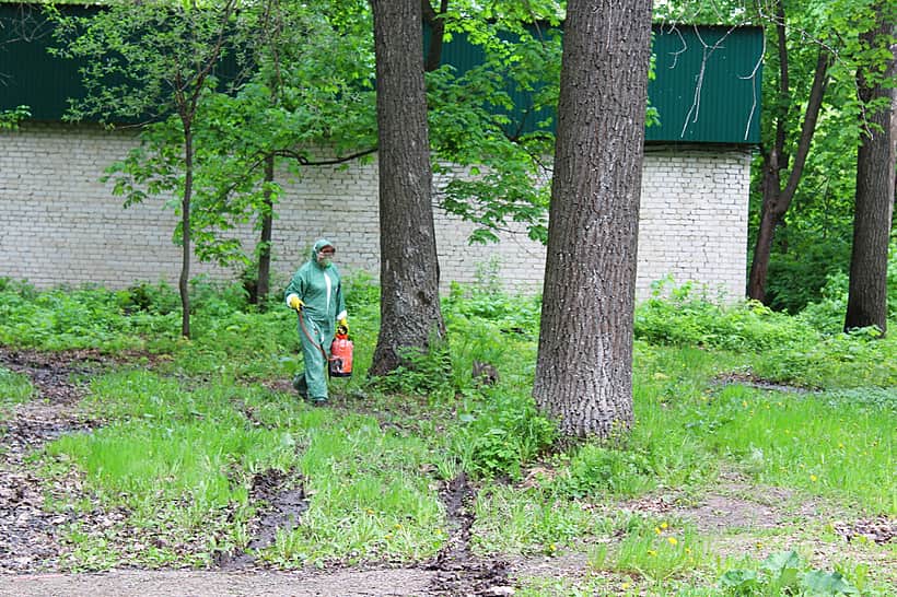 Канашский городской парк культуры и отдыха обрабатывают от комаров и клещей.
