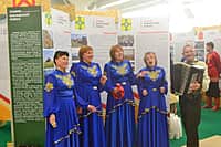 Канашский край представлен на Межрегиональной выставке «Регионы – сотрудничество без границ» (фото №1).