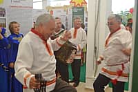 Канашский край представлен на Межрегиональной выставке «Регионы – сотрудничество без границ» (фото №5).