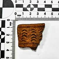 В Канашском районе обнаружены новые археологические памятники (фото №1).