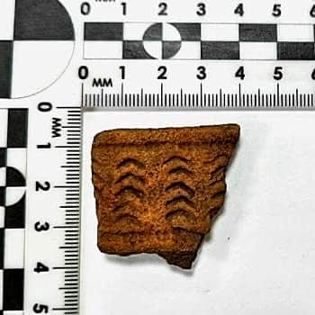 В Канашском районе обнаружены новые археологические памятники.