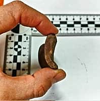 В Канашском районе обнаружены новые археологические памятники (фото №3).