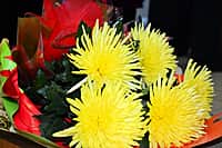 Канашский район: Майский бал юбиляров (фото №4).